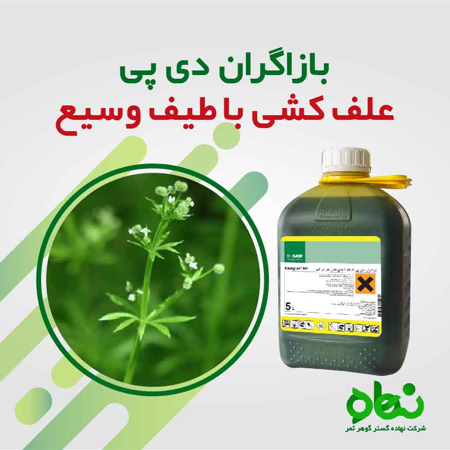 بازاگران دی پی محصول شرکت باسف آلمان علف کش پس رویشی، تماسی و سیستمیک، پهن برگ کش مزارع گندم، جو، برنج، چاودار و ذرت